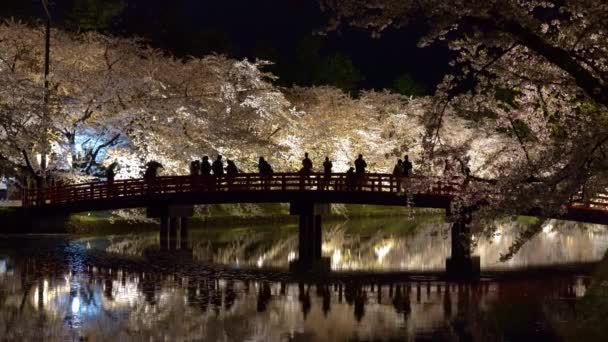 Φεστιβάλ Ανθών Κερασιάς Του Πάρκου Χιροσάκι Φωτίζεται Νύχτα Ομορφιά Πλήρη — Αρχείο Βίντεο