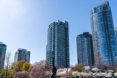 Vancouver city downtown skyscrapers skyline against sunny blue sky. Cherry blossom flowers in full bloom. British Columbia, Canada. clipart