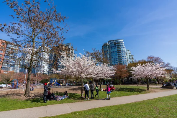 Vancouver Canada April 2021 People Picnic David Lam Park Springtime — Foto de Stock
