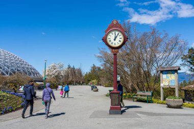 Vancouver, BC, Kanada - 12 Nisan 2021: Kraliçe Elizabeth Park Bloedel Konservatuarı, insanlar ilkbaharda çiçek açmanın keyfini çıkarıyorlar.
