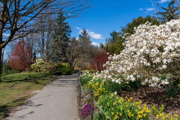 晴れた日にはエリザベス女王公園採石場の庭園 満開の美しい花 バンクーバー Bc州 カナダ — ストック写真