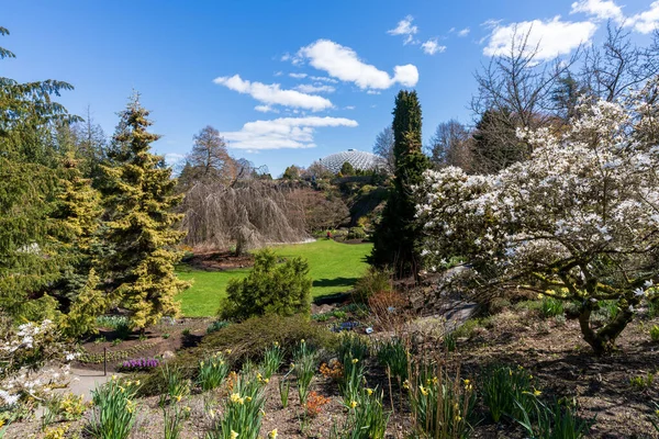晴れた日にはエリザベス女王公園採石場の庭園 満開の美しい花 バンクーバー Bc州 カナダ — ストック写真