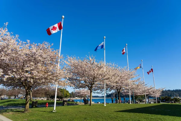 West Vancouver Canada April 2021 National Flag Canada British Columbia — Stock Photo, Image