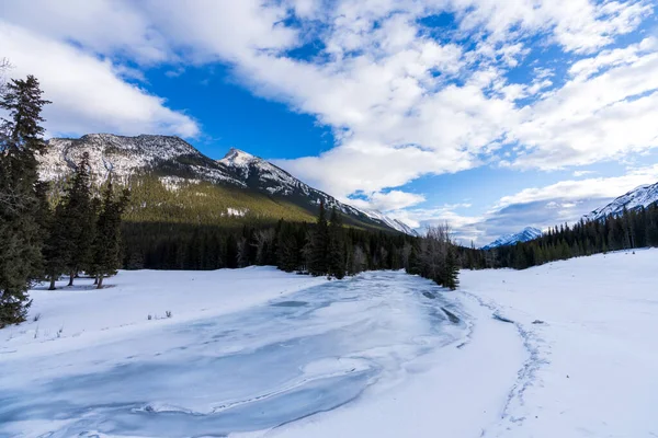 Kışın Donmuş Bow River Arka Planda Kanada Kayalıkları Banff Ulusal — Stok fotoğraf