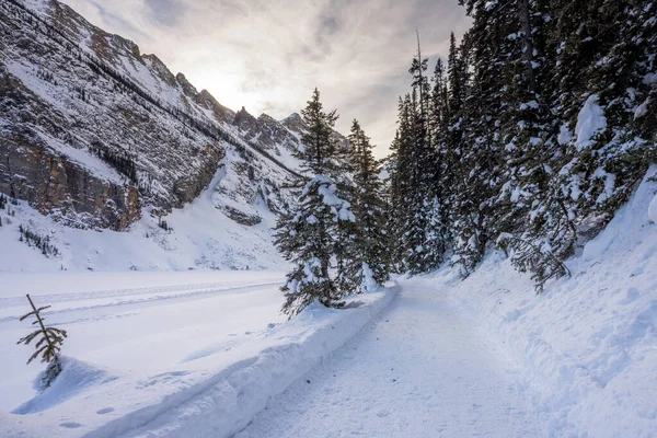 Lake Louise Winter Trail Beautiful Scenery Banff National Park Canadian — Stock Photo, Image