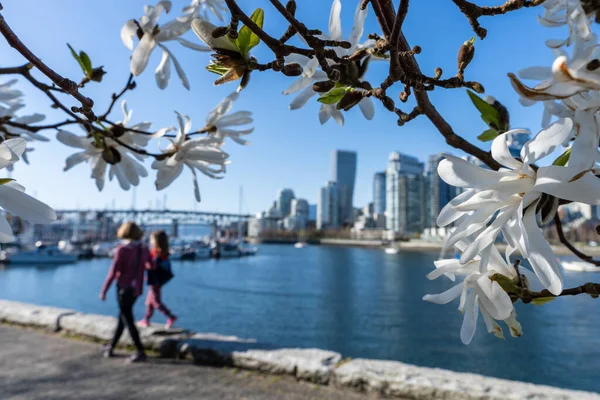 Padres Hijos Caminando Por Sendero Del Malecón Vancouver Primavera Vancouver — Foto de Stock