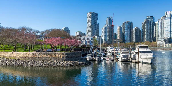 Vancouver Canadá Abril 2021 Vancouver Marina False Creek Edificios Modernos — Foto de Stock