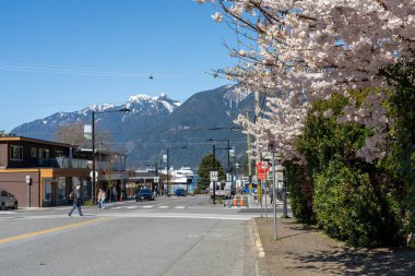 West Vancouver, BC, Kanada - 13 Nisan 2021: Horseshoe Bay sokak manzaralı. İlkbaharda kiraz çiçekleri açar..