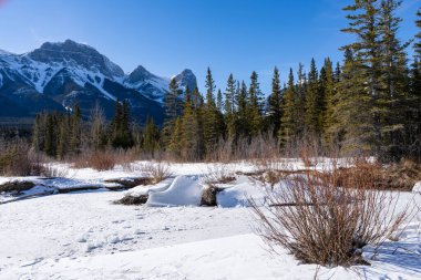 Kanada Kayalıkları kış boyunca güzel bir manzara. Karlı dağ sıraları, donmuş orman. Canmore, Alberta, Kanada.