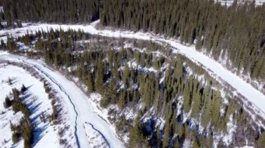 Kışın orman manzarası. Donmuş dere, yeşil köknar ağaçları. Sağlıklı ortam ve ekosistem kavramı.