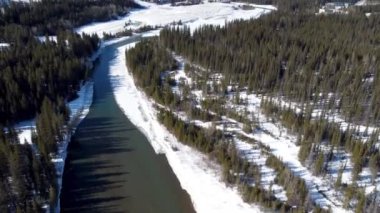 Drone kışın donmuş Bow River Vadisi ormanlarında uçar. Kanada 'nın dağlık dağları karla kaplı. Havadan panorama görüntüsü. Canmore, Alberta, Kanada.
