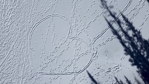 Tvar Srdce Namalovaný Sněhu Lese Letecký Pohled Stín Jedle — Stock video