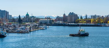Victoria Inner Limanı. Arka planda mavi gökyüzünün üzerinde tarihi binalar var. Panoramik görünüm.