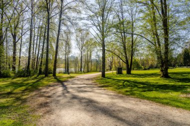 Deer Lake Park yürüyüş yolları. Burnaby, British Columbia, Kanada.