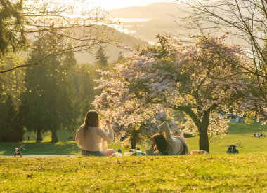 Bahar zamanı kiraz çiçeklerinin tadını çıkaran iki genç kadın piknik yapıyor. Gün batımında Burnaby Dağı Parkı. Burnaby, BC, Kanada.