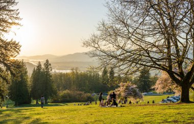 Burnaby, BC, Kanada - 18 Nisan 2021: Burnaby Mountain Park, gün batımı zamanı. İnsanlar bahar zamanı burada piknik yapıp kiraz çiçeklerinin tadını çıkarıyorlar. Simon Fraser Üniversitesi Burnaby Kampüsü.