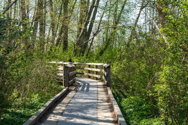 Deer Lake Park walking trails. Burnaby, British Columbia, Canada.