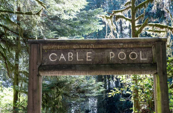 Cable Pool Bridge Parque Regional Del Río Capilano North Vancouver — Foto de Stock