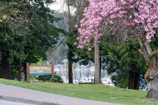 North Vancouver Canada April 2021 Deep Cove Park Popular Summer — Stock Photo, Image