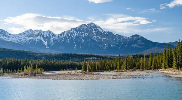 Национальный Парк Джаспер Канадские Скалистые Горы Лес Реки Атабаска Природный — стоковое фото