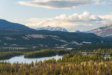 Jasper Ulusal Parkı Kanada Kayalıkları çok güzel bir manzara. Athabasca Nehri Ormanı. Alberta, Kanada.