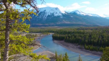 Canadian Rockies Jasper Ulusal Parkı manzarası. Athabasca Nehri, Whistlers Tepesi. İlkbahardan yaza kadar doğa manzarası. Alberta, Kanada.