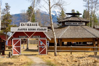 Jasper, Alberta, Kanada - 5 Mayıs 2021: Piramit Gölü Yolu 'ndaki At Biniciliği, Jasper Binicilik Ahırı.