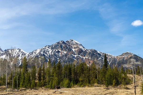 Góra Piramidy Krajobraz Parku Narodowego Jasper Kanadyjska Sceneria Rockies Tle — Zdjęcie stockowe
