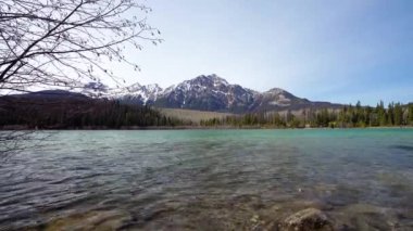 Patricia Lake. Jasper Ulusal Parkı manzarası. Kanada Rocky Dağları doğa manzarası arka planı. Alberta, Kanada.