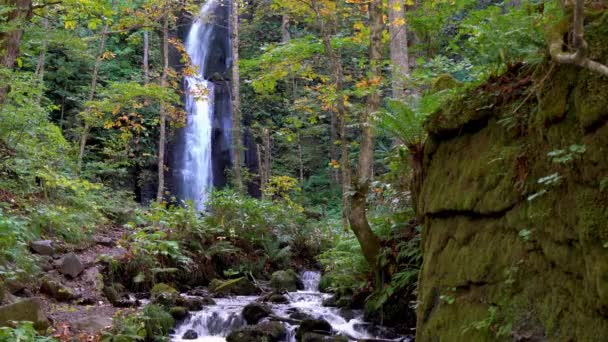 Kumoi Taki Falls Oirase Stream Autumn Forest Flowing River Fallen — Stok video