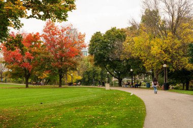 Ottawa, Ontario, Canada - October 16 2021 : Major's Hill Park autumn red leaves scenery.