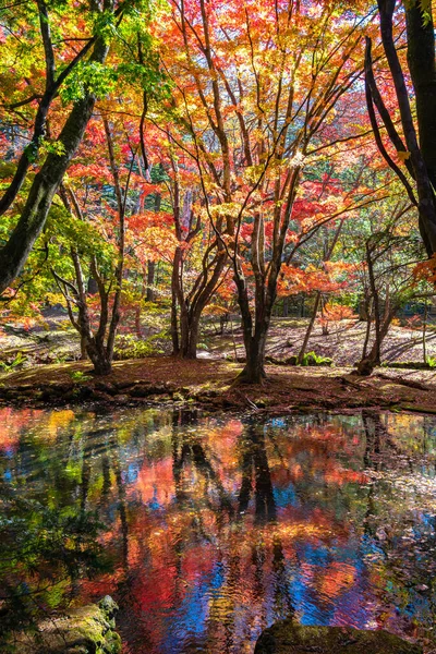 Kumobaike Pond Güneşli Bir Günde Yüzeye Yansıyan Renkli Sonbahar Yaprakları — Stok fotoğraf