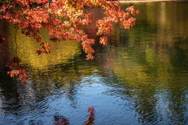 Kumobaike Pond Herfst Gebladerte Landschap Uitzicht Multicolor Reflecterend Oppervlak Zonnige — Stockfoto