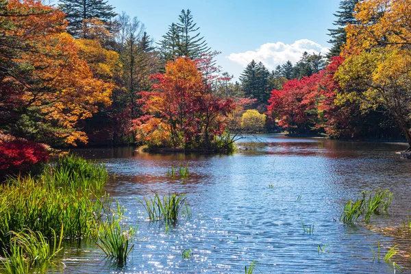 Kumobaike Pond Autumn Foliage Scenery View Multicolor Reflecting Surface Sunny — Stock Photo, Image