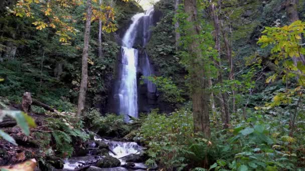 Kumoi Taki Falls Oirase Stream Autumn Forest Flowing River Fallen — Αρχείο Βίντεο