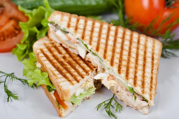 Panino — Foto Stock