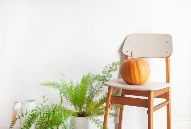 Modern oturma odasının içinde rahat bir sandalye, üzerinde balkabağı ve yerde saksı çiçekleri var..