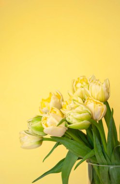 Sarı arka planda cam bir vazoda sarı laleler..