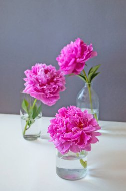 Beyaz bir masa üzerinde şeffaf cam şişeler içinde güzel pembe şakayıklar kompozisyonu.