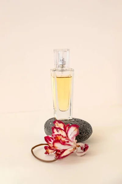 Composition of a yellow perfume bottle balancing on a black color pebble and a dry tulip flower on beige color background.