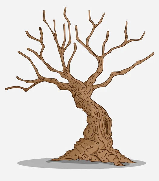 Дерево вектор — стоковий вектор