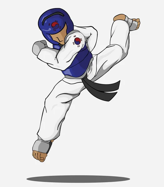 Arte marcial Taekwondo — Archivo Imágenes Vectoriales