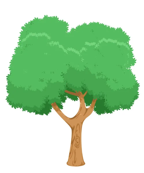 Árbol Grande Con Hojas Verdes Fondo Blanco Vector Ilustración — Vector de stock