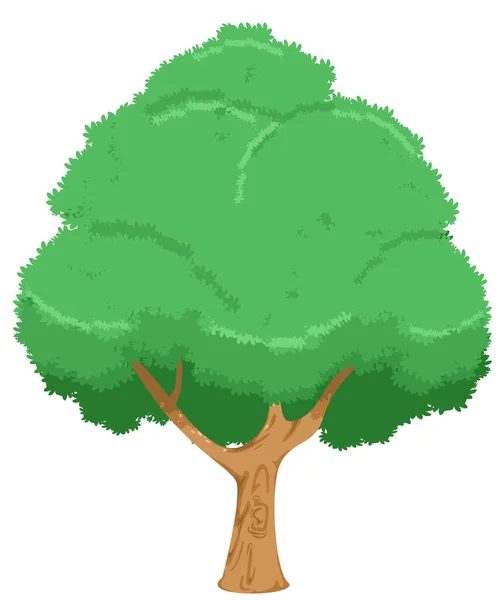 Велике Дерево Зеленим Листям Білим Тлом Вектор Ілюстрація — стоковий вектор