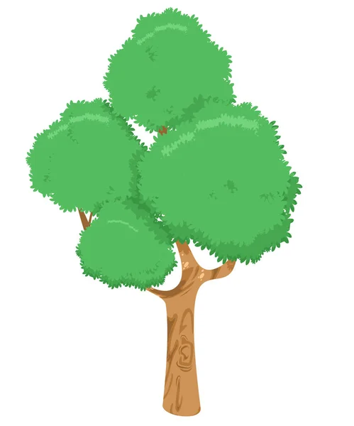 Большое Дерево Зелеными Листьями Белым Фоном Вектор Иллюстрация — стоковый вектор