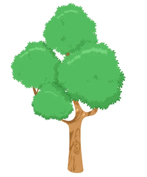 Árbol Grande Con Hojas Verdes Fondo Blanco Vector Ilustración — Vector de stock