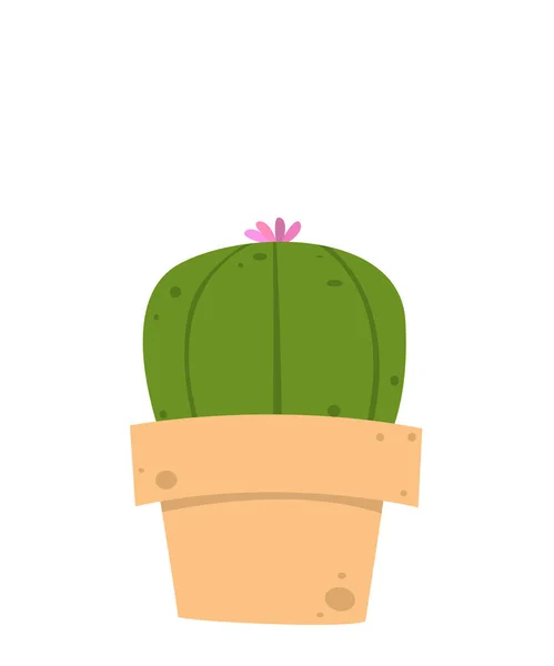 Mignon Cactus Dans Pot Plante Vecteur Illustration Fond Blanc Isolement — Image vectorielle