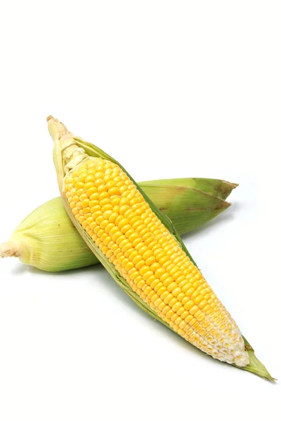 Orelha fresca de milho — Fotografia de Stock