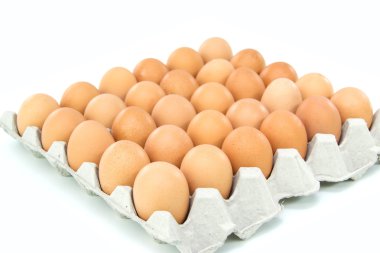 taze kahverengi yumurta