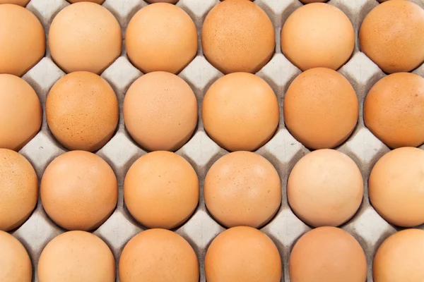 Grupo de huevos frescos en el pater —  Fotos de Stock